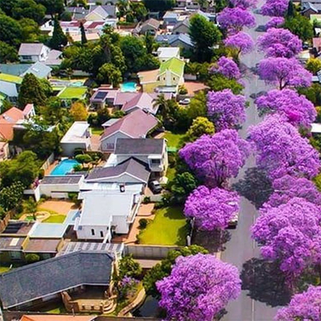 SA Property Trends to Keep on your Radar 
