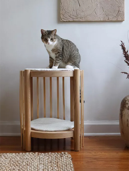 This Cat Bed and Side Table is Super-Easy to Make!