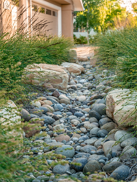 What is a Rain Garden or Dry Riverbed?