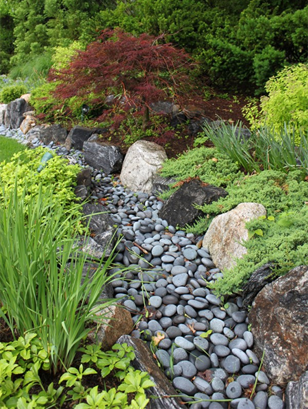 How to Build a Rain Garden or Dry River Bed