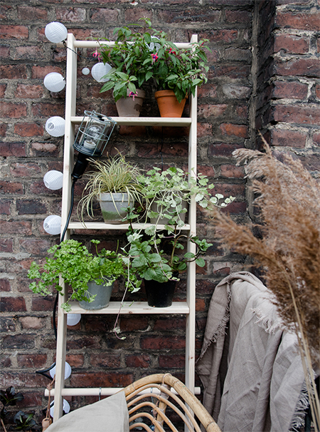 A DIY Ladder that offers a Place for Plants and Ambient Lighting