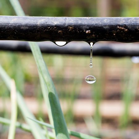 use drip irrigation in garden