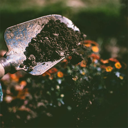 how to test garden soil