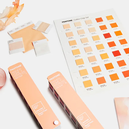 Pantone's announcement of Peach Fuzz as the 2024 Colour of the Year