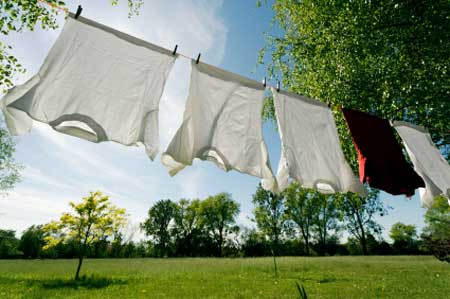 laundry that smells fresh