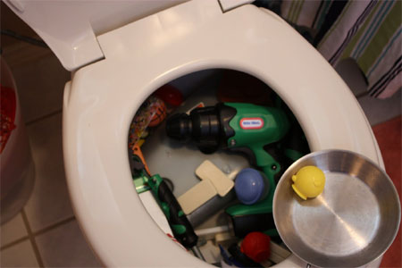 fix or unblock a clogged or blocked toilet