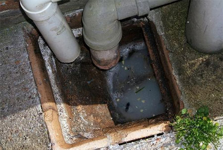 Why do drains block? 