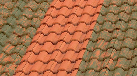 clean and paint a cement tile or corrugated iron roof 