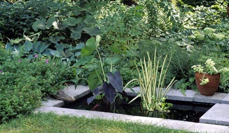 Simple ways to add water to a garden 
