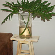 pine plant stands indoor