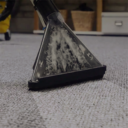 The Importance of Clean Carpets