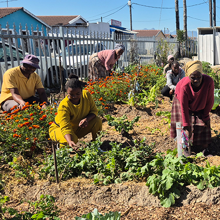 Food-Garden Volunteers Needed, To Empower Communities 
