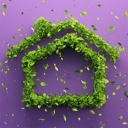 how to make a home environmentally friendly
