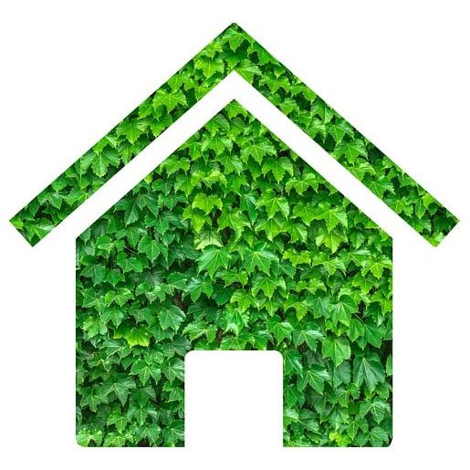 How Going Green At Home Adds Value To Your Property 