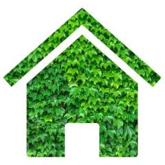 why should a home go green