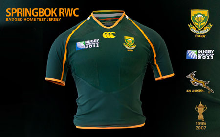springbok supporters jersey