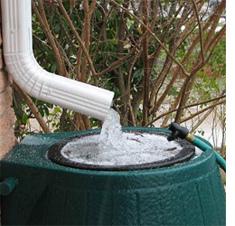 HOME DZINE Garden | Rainwater collection for home use